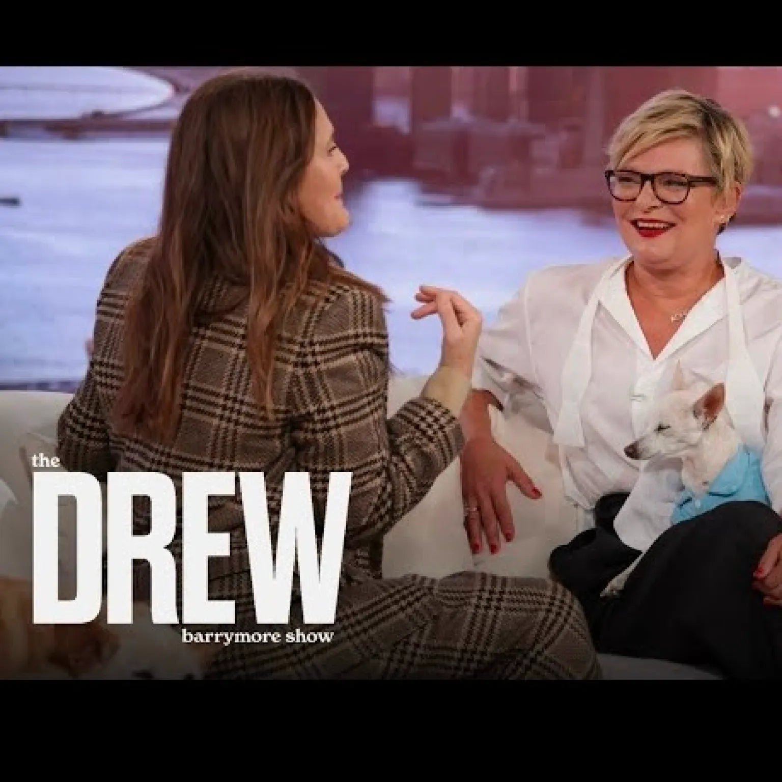 Martha Plimpton wears MAD FINE on The Drew Barrymore Show!